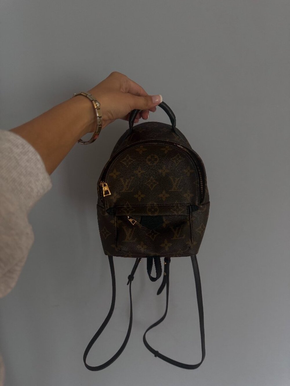 Louis Vuitton Palm Springs Mini Backpack with Gold Hardware